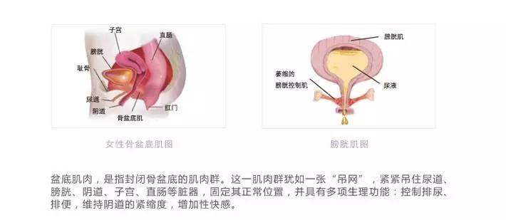 贵港红房子，盆底康复之产后瑜伽